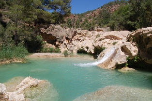 Biodiversidad y desarrollo sostenible en el municipio de Engudanos